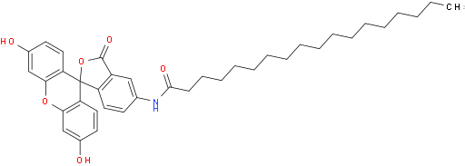 N-(3',6'-二羟基-3-氧代-3H-螺[异苯并呋喃-1,9'-呫吨]-5-基)硬脂酰胺